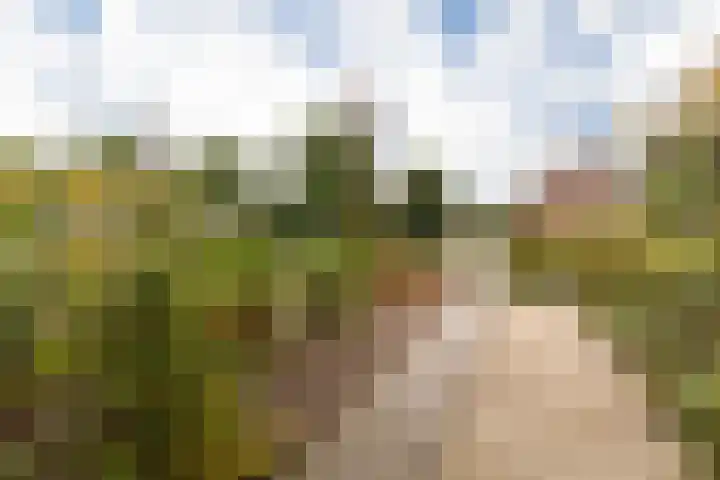 Rondweg 19 Zwartebroek thumbnail 37
