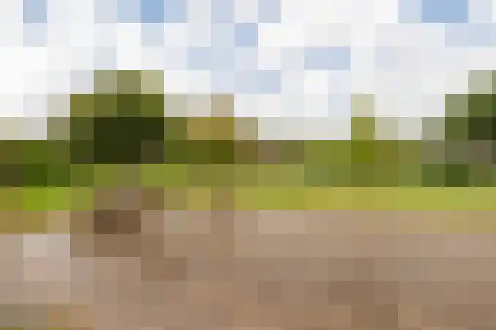 Rondweg 19 Zwartebroek thumbnail 38