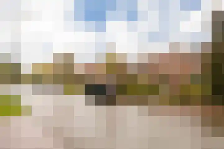 Rondweg 19 Zwartebroek thumbnail 39