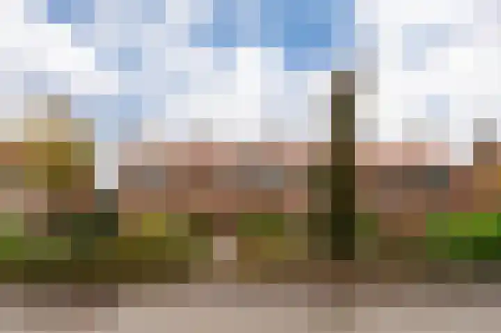 Rondweg 19 Zwartebroek thumbnail 6