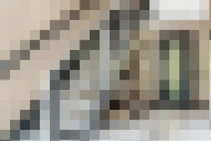 Rondweg 2 b Schuinesloot thumbnail 10