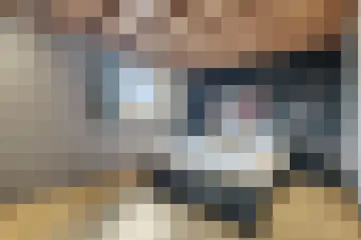 Rondweg 2 b Schuinesloot thumbnail 101
