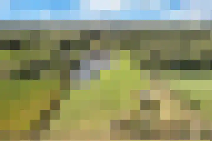 Rondweg 2 b Schuinesloot thumbnail 103