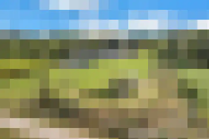 Rondweg 2 b Schuinesloot thumbnail 104