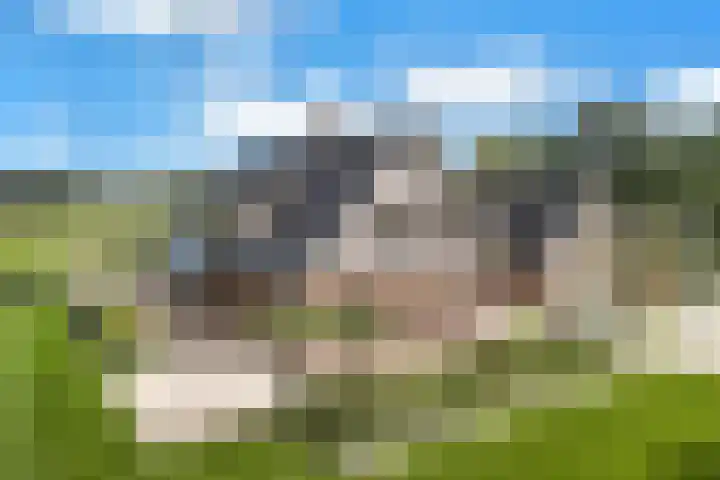 Rondweg 2 b Schuinesloot thumbnail 113