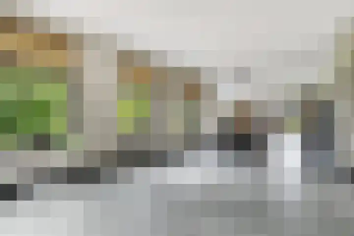 Rondweg 2 b Schuinesloot thumbnail 15