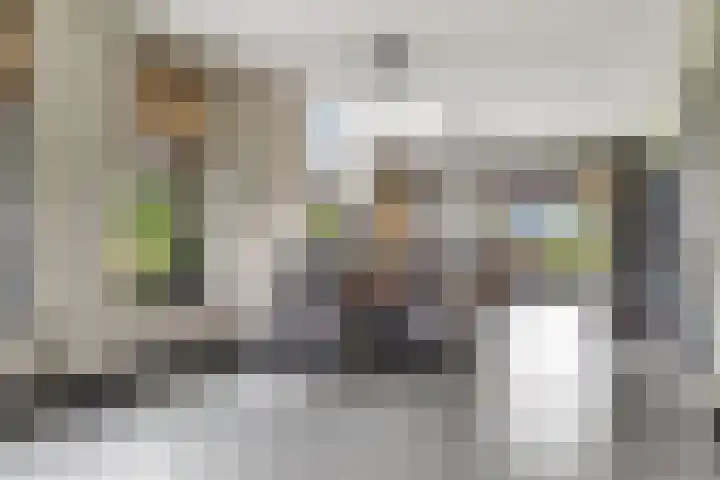 Rondweg 2 b Schuinesloot thumbnail 16