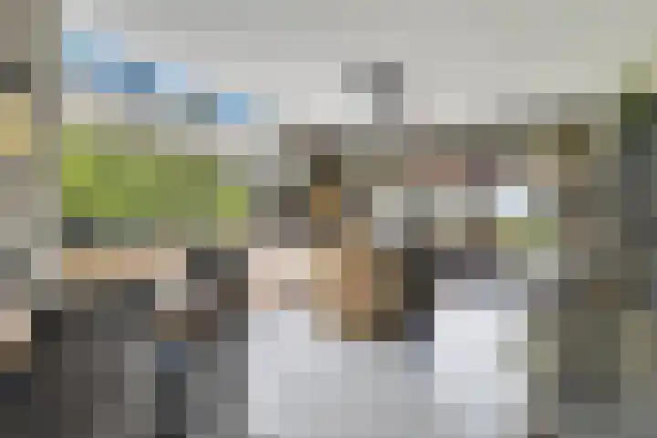 Rondweg 2 b Schuinesloot thumbnail 17
