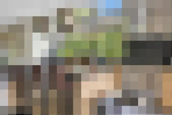 Rondweg 2 b Schuinesloot thumbnail 20