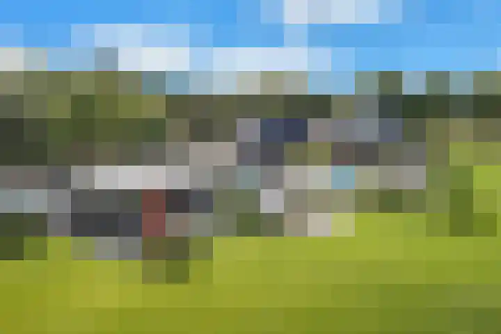 Rondweg 2 b Schuinesloot thumbnail 4