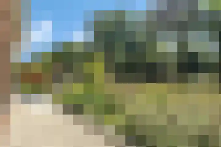 Rondweg 2 b Schuinesloot thumbnail 62