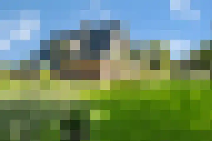 Rondweg 2 b Schuinesloot thumbnail 63
