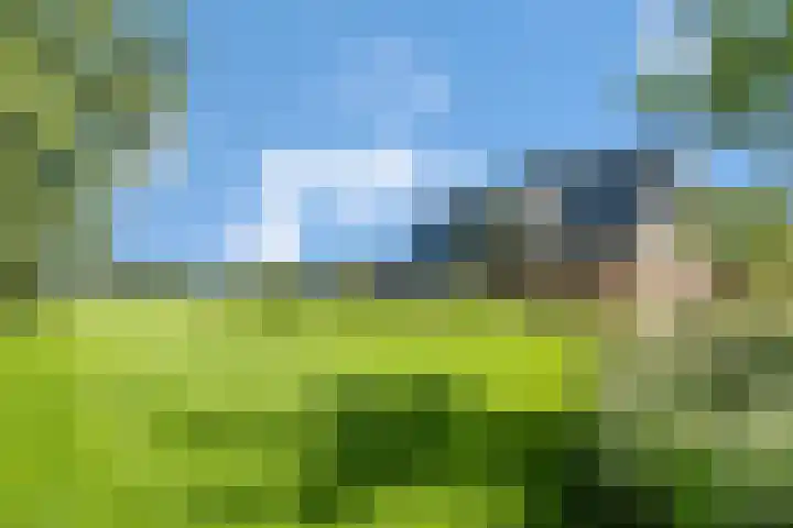 Rondweg 2 b Schuinesloot thumbnail 64