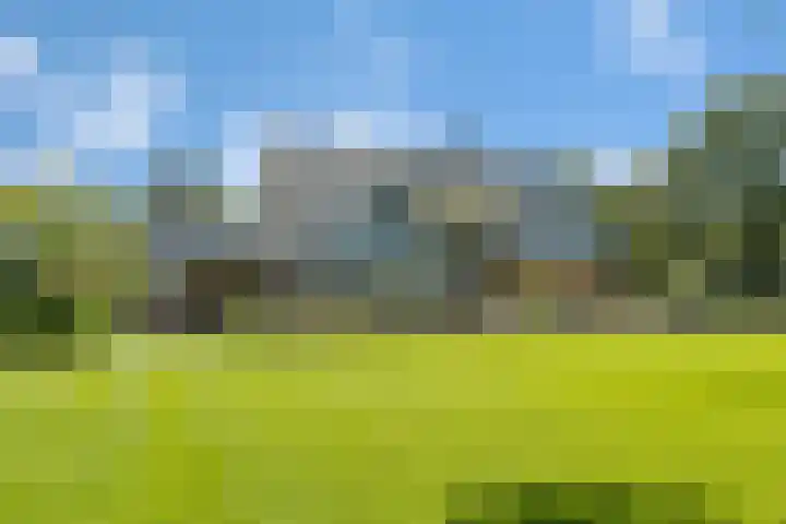 Rondweg 2 b Schuinesloot thumbnail 65