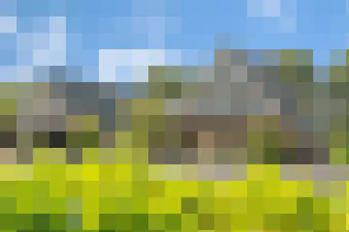 Rondweg 2 b Schuinesloot thumbnail 66