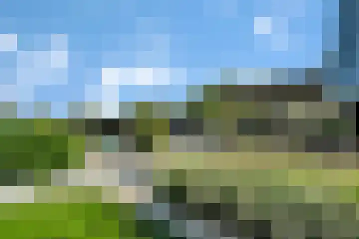 Rondweg 2 b Schuinesloot thumbnail 69