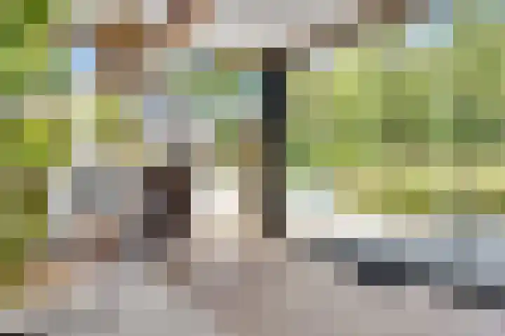 Rondweg 2 b Schuinesloot thumbnail 80