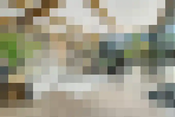 Rondweg 2 b Schuinesloot thumbnail 81