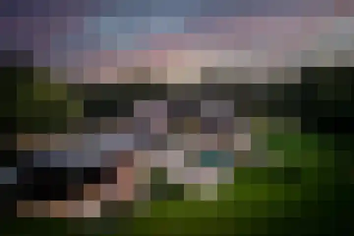 Rondweg 2 b Schuinesloot thumbnail 88