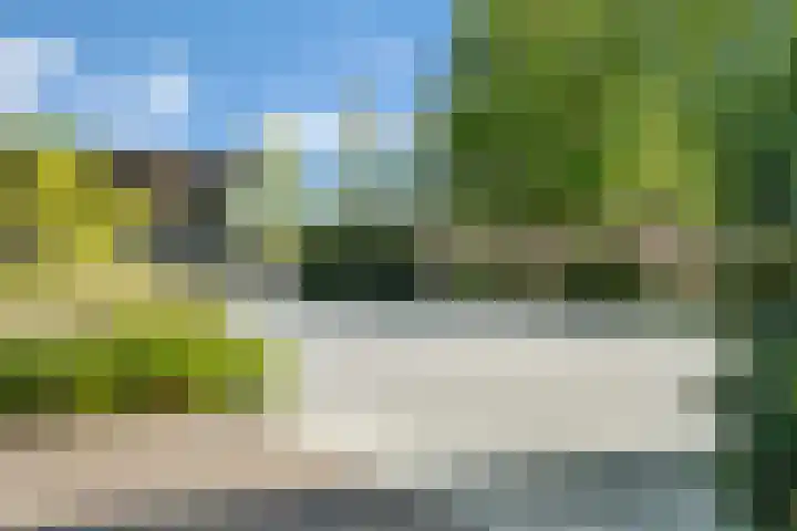 Rondweg 2 b Schuinesloot thumbnail 90