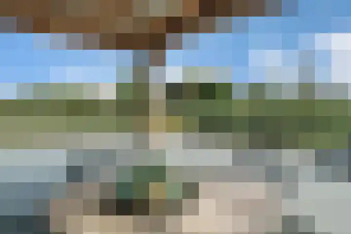 Rondweg 2 b Schuinesloot thumbnail 95