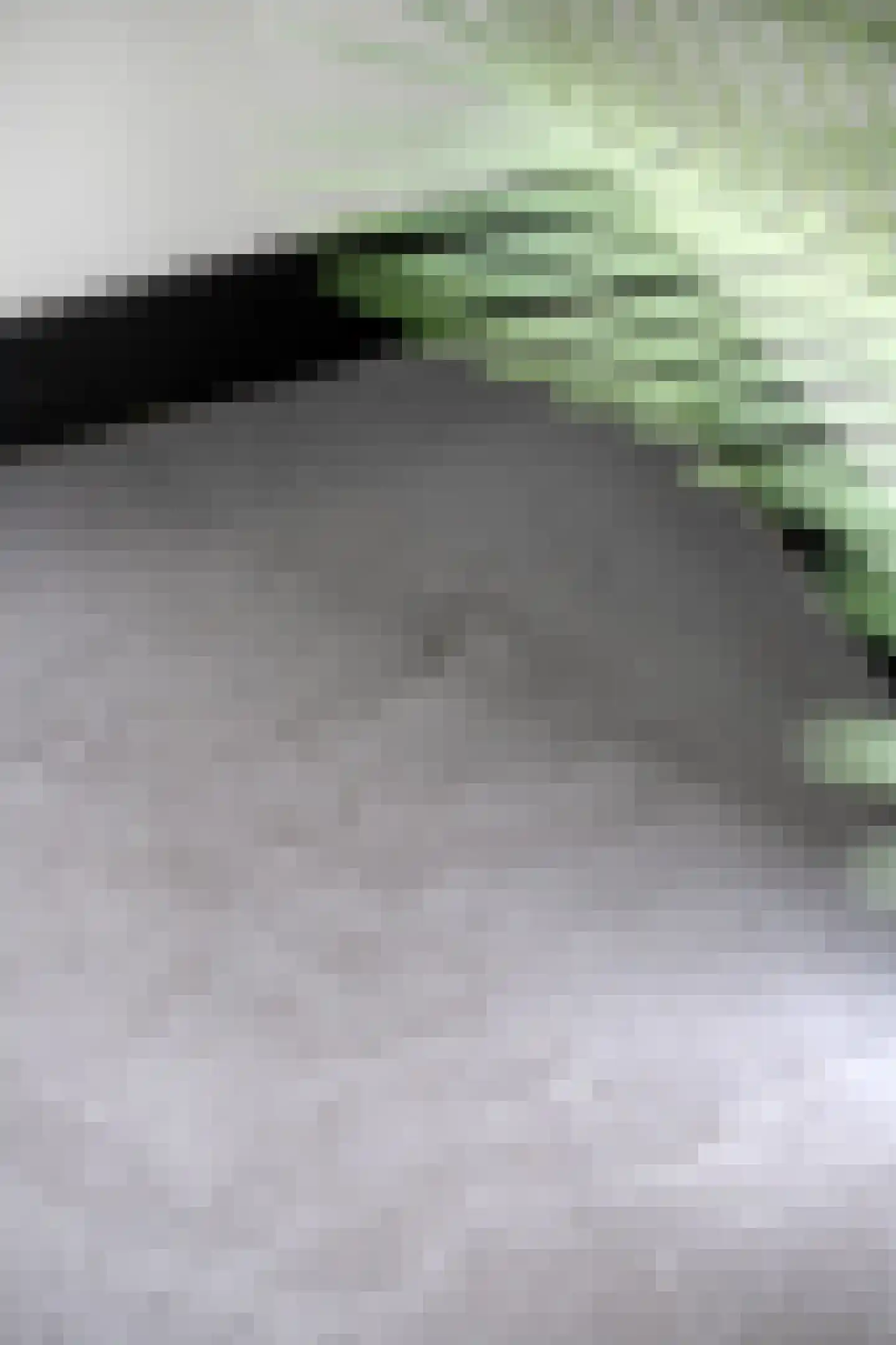 Rondweg 22 Zwartebroek thumbnail 21