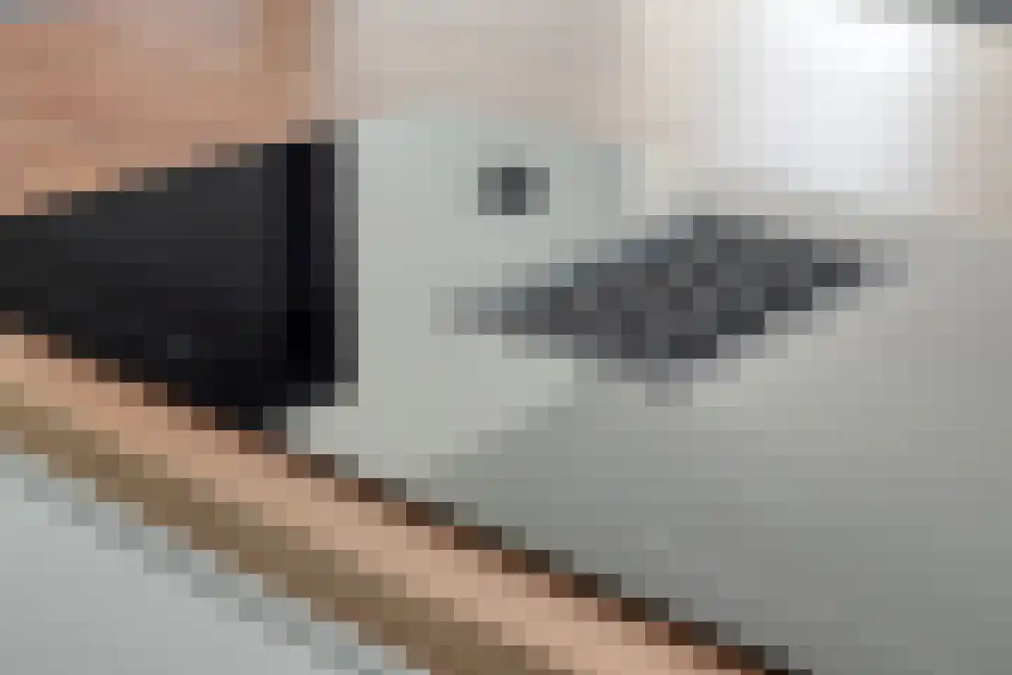 Rondweg 22 Zwartebroek thumbnail 31