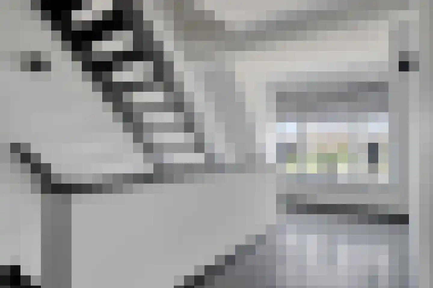 Rondweg 22 Zwartebroek thumbnail 35