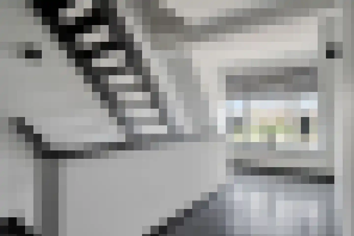 Rondweg 22 Zwartebroek thumbnail 36