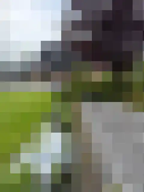 Rondweg 22 Zwartebroek thumbnail 6