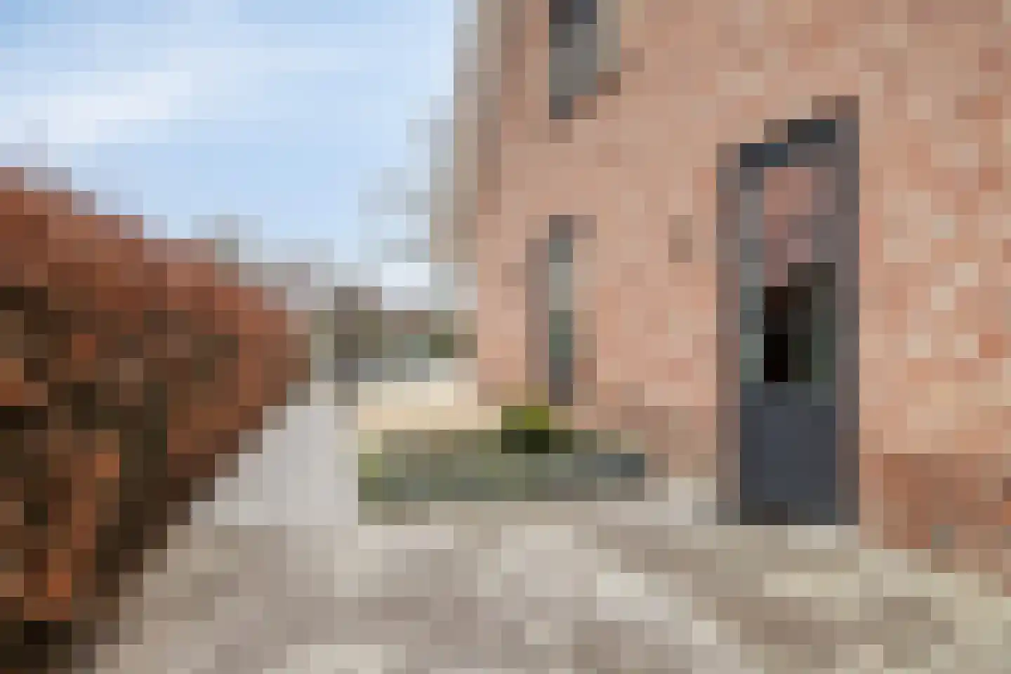 Rondweg 22 Zwartebroek thumbnail 60