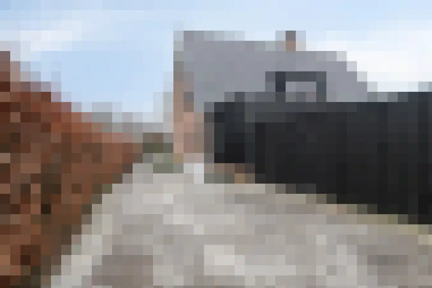 Rondweg 22 Zwartebroek thumbnail 61