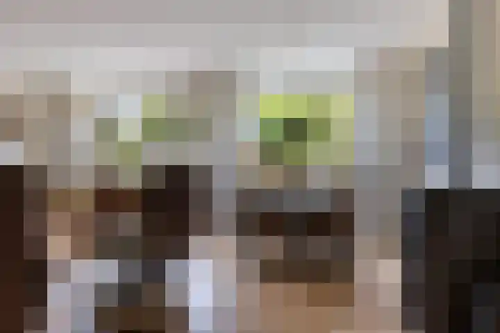 Rondweg 3 Nieuwe Pekela thumbnail 16