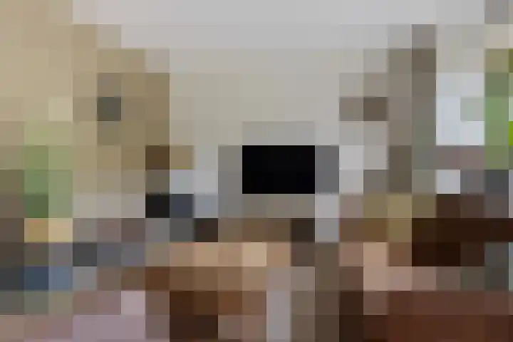 Rondweg 3 Nieuwe Pekela thumbnail 17