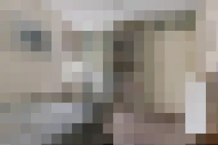 Rondweg 3 Nieuwe Pekela thumbnail 27