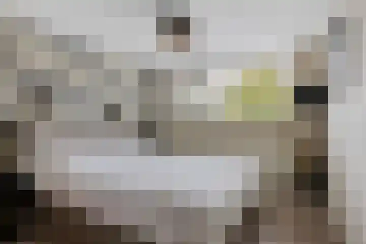 Rondweg 3 Nieuwe Pekela thumbnail 28