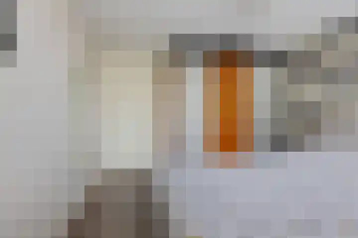 Rondweg 3 Nieuwe Pekela thumbnail 29