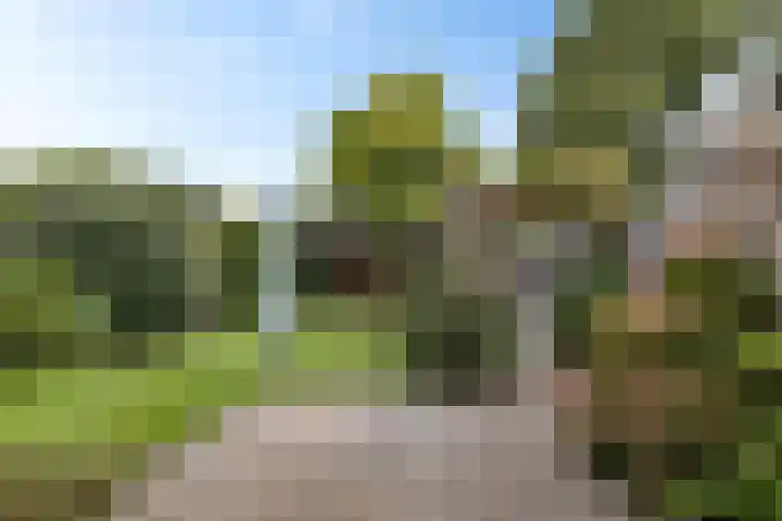 Rondweg 3 Nieuwe Pekela thumbnail 36