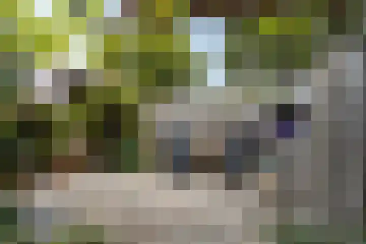 Rondweg 3 Nieuwe Pekela thumbnail 37
