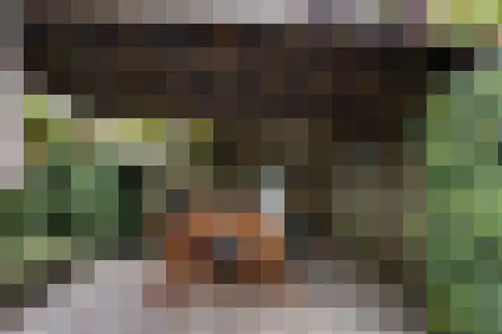 Rondweg 3 Nieuwe Pekela thumbnail 38