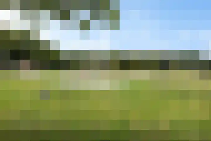 Rondweg 3 Nieuwe Pekela thumbnail 39