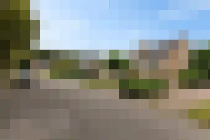 Rondweg 3 Nieuwe Pekela thumbnail 4
