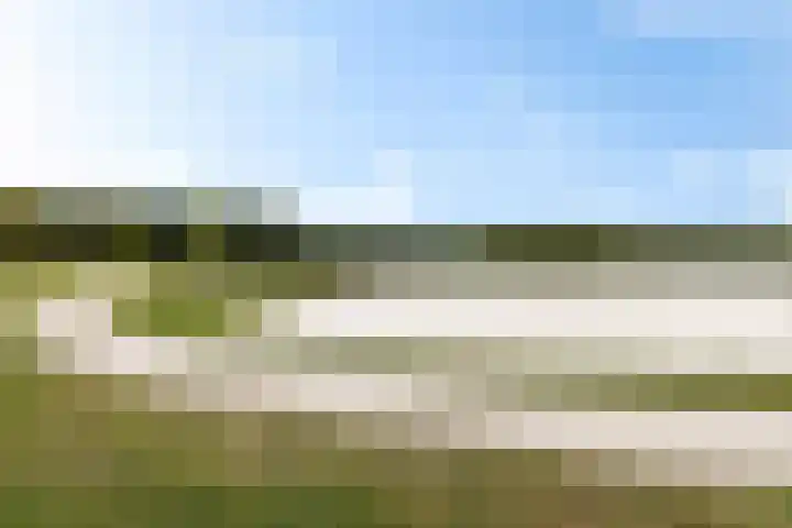 Rondweg 3 Nieuwe Pekela thumbnail 40