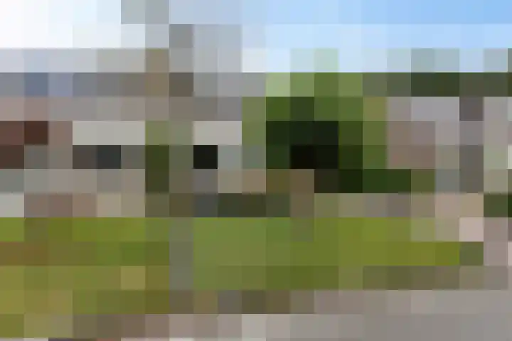 Rondweg 3 Nieuwe Pekela thumbnail 6