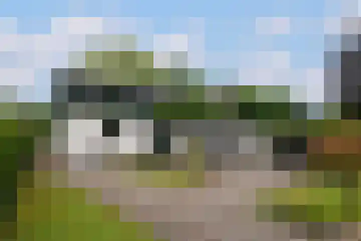 Rondweg 33 Aadorp thumbnail 27