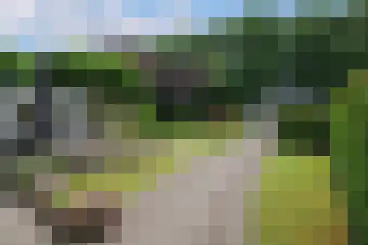 Rondweg 33 Aadorp thumbnail 31