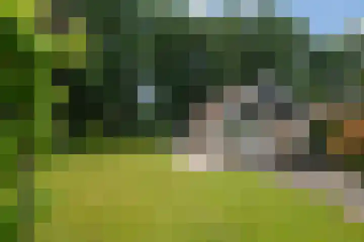 Rondweg 33 Aadorp thumbnail 32