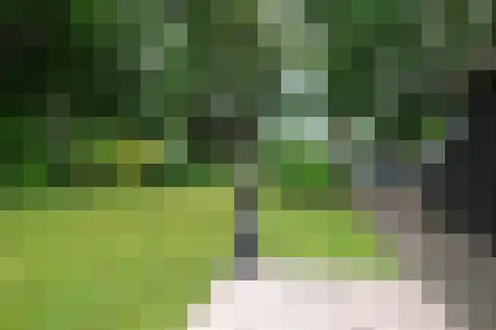 Rondweg 33 Aadorp thumbnail 36