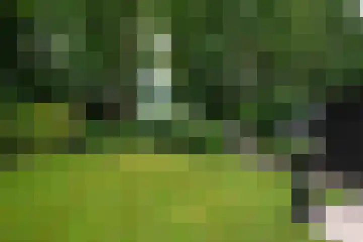 Rondweg 33 Aadorp thumbnail 37