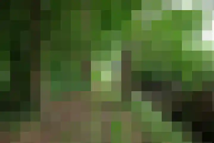 Rondweg 33 Aadorp thumbnail 40